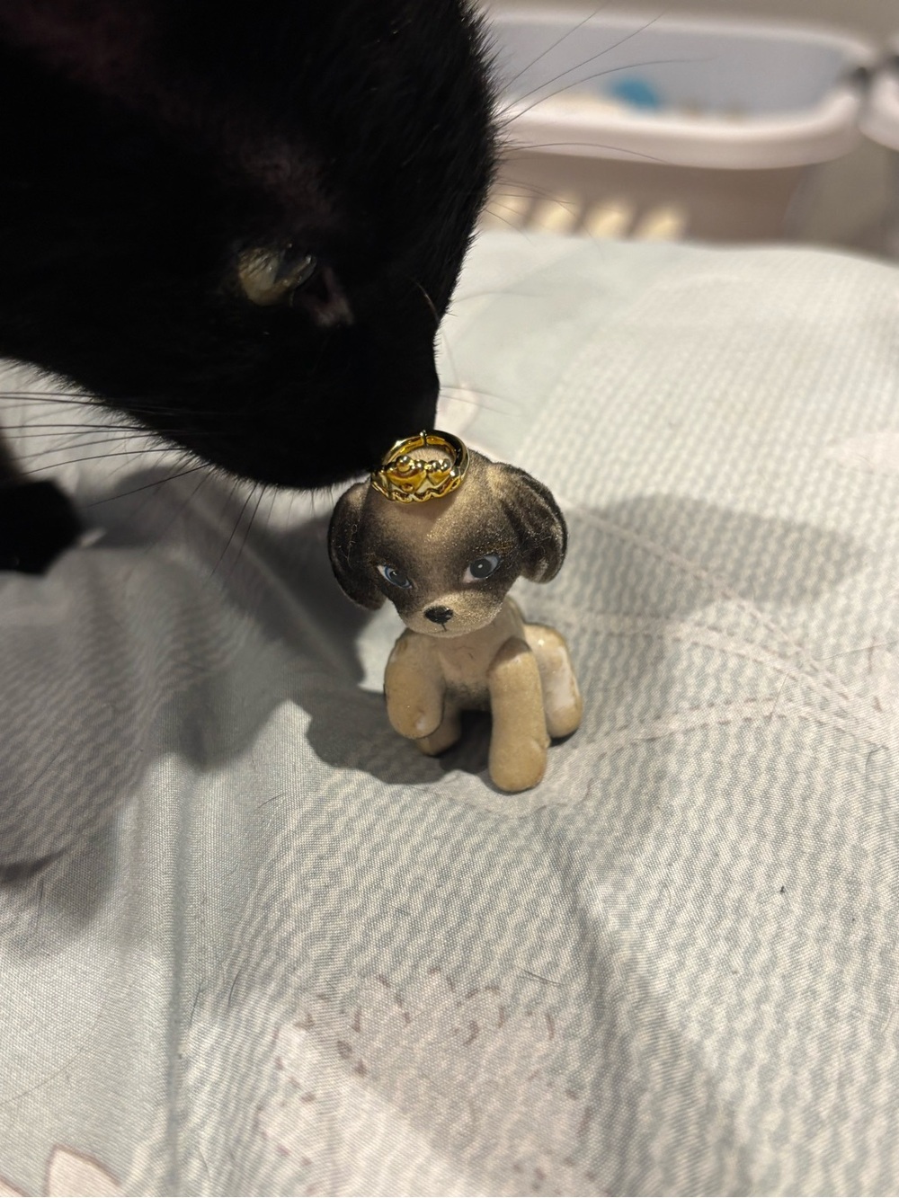 Bratz Pampered Pupz Cloes Pup - Cat not for sale 😂